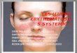 Kelompok 6 Sistemik Lupus Eritomatosus
