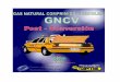 43944109 Manual de Post Conversion Gnv