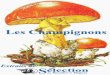 Les Champignons - Selection Reader's Digest.pdf