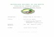 Informe Del Cultivo de Arroz-Inia - Pilco