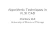 Algorithms VLSI CAD Final f07