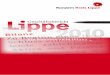 Konzern Kreis Lippe - Ein Geschäftsbericht