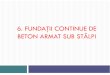 Fundatii Pe Retele de Grinzi, Fundatii Pe Chesoane an IV CCIA 2012-2013