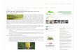 Tips Jitu Mengendalikan Lalat Buah (Tephritidae) ~ Gerbang Pertanian