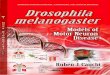 Drosophila melanogaster Models of Motor Neuron Disease 2013 (edited by Ruben Cauchi)