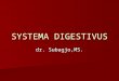 Syst Digestiv
