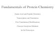 Fundamentals of Protein Chem