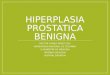 Hiperplasia Prostatica Benigna 2