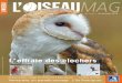 L'Oiseau Magazine n°112 (numéro complet)