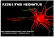 Resusitasi Neonatus (Ariyo).ppt