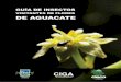Guia de Polinizadores y visitantes de flores del aguacatero.pdf