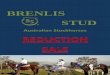 Brenlis Stud Reduction Sale