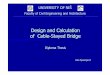 Design and Calculation of Cable--Stayed Bridge Diploma_thesis