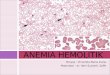 Anemia Hemolitik Edit