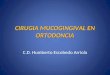 Cirugia Mucogingival en Ortodoncia 1206665930417219 4
