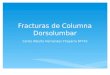 Fracturas de Columna Dorsolumbar.ppt