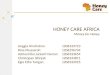Honey Care Africa - Business Model Management Strategic