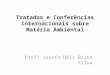 Tratados e Conferncias Internacionais sobre Mat©ria Ambiental