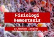 Fisiologi Hemostasis