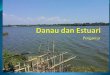 Danau Dan Estuari 1