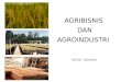 2 Sistem Agroindustri