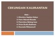 51505925 Cekungan Kalimantan