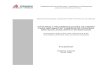 P.2.0370.01 Criterios de diseño de tuberias de proceso