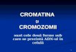Cromatina Cromozomi
