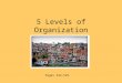 5 Levels of Organization From Cells to Organism (1)