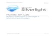 01 - WinForms and Silverlight.docx