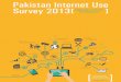 Pakistan Internet Use Survey 2013