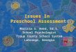 Issues in Preschool Assessment