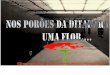 Nos Poroes Da Ditadura Uma Flor.pdf
