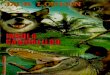 Jack London - Insula Canibalilor(v0.9)