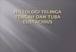 Histologi Telinga Tengah Dan Tuba Eustachius