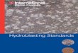 Hydro Blasting Standards