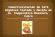 Trabajo Marketing Cafe Maranura( Final)
