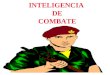 Ayudas Inteligencia de Combate e.m.i