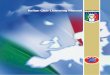 Italian Club Licensing Manual - 2012