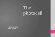 The Photocell