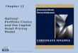 Berk Chapter11 Optimal Portfolio Choice Capm 111029180143 Phpapp02