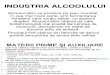 Industria Bauturilor Alcoolice