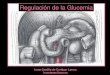 Regulacion de La Glucemia-EnD