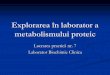 LP 7 Explorarea Metabolismului Proteic