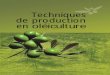Techniques de production en oléiculture