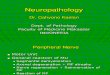 Neuropath. Oct 2004 . UMJ. Ppt