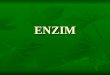 BIOKIMIA 2 ENZIM