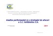 Analiza Performantei Si a Strategiei de Afaceri a SC Antibiotice SA