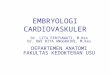 K01 Embriologi Dan Anatomi CV (Anatomi)