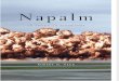 Napalm an American Biography by Robert M Neer